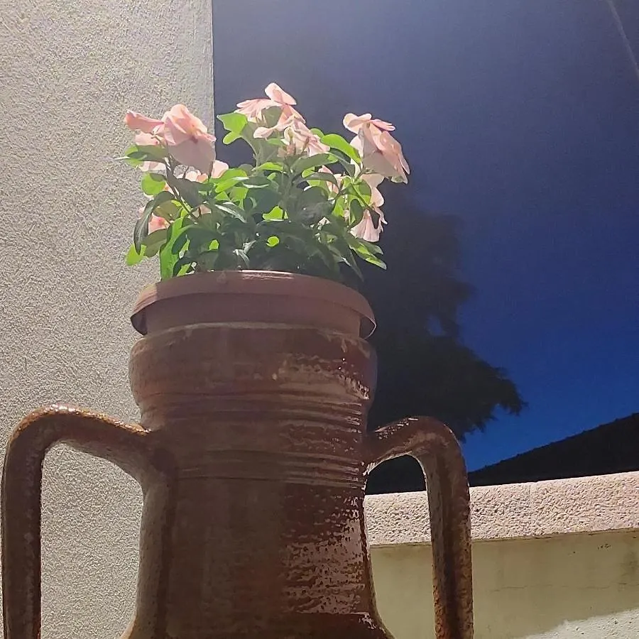 Casa vacanze Villa A Casa Danoi San Clemente